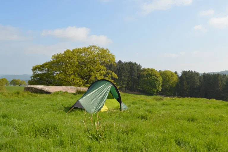 Green tent set up in a lush grassy field surrounded by trees under a clear blue sky, ideal for camping and outdoor activities.