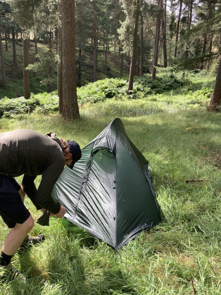 Person in a dark jacket and baseball cap bending to peg down a small green solo tent on long grass in a sunlit pine woodland with ferns and tall trees.