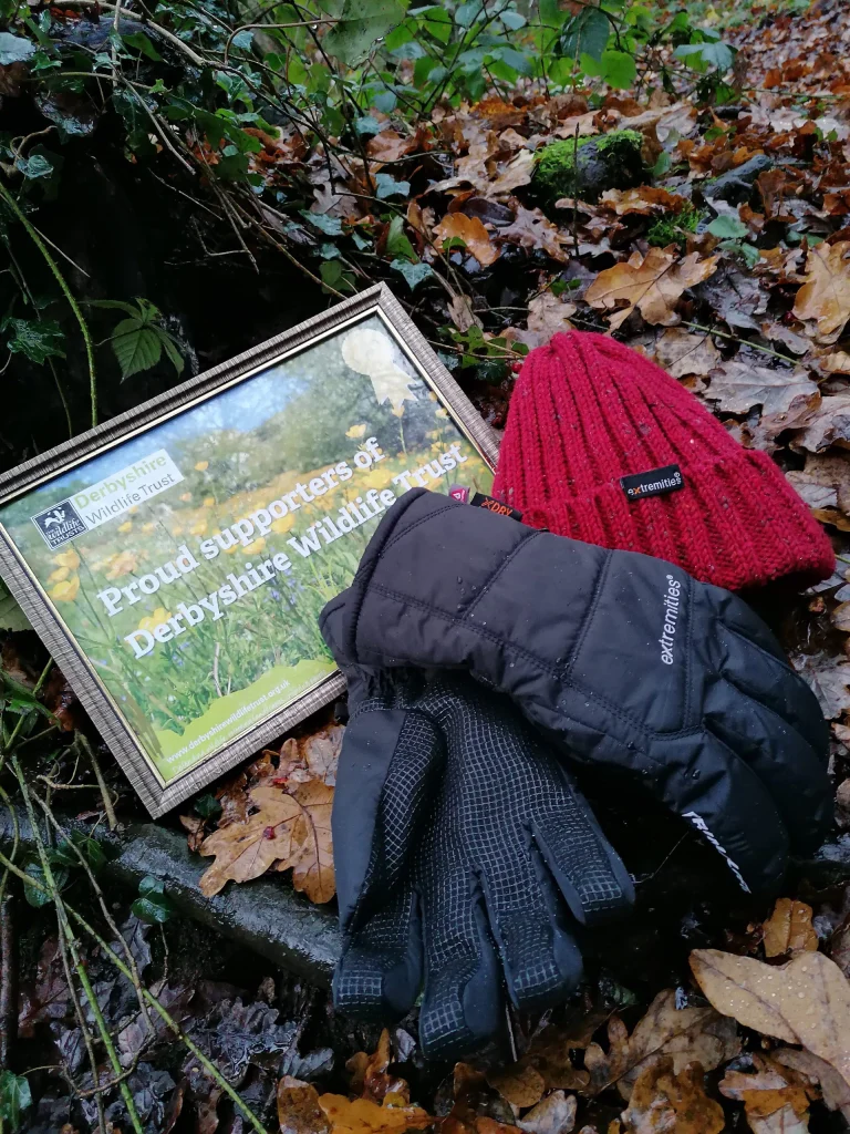 Framed 'Proud supporters of Derbyshire Wildlife Trust' certificate lying on a wet, leaf-strewn woodland floor next to a red knit beanie and a pair of black insulated gloves, surrounded by ivy, moss and autumn leaves.