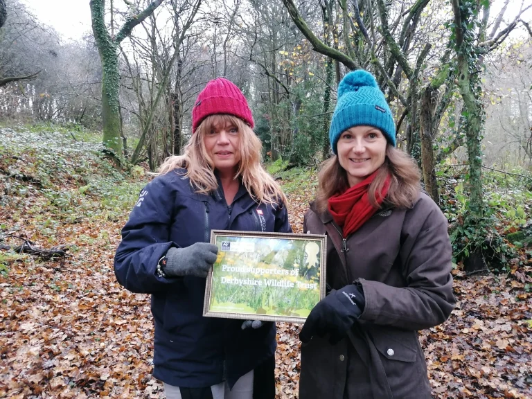 Two women wearing winter hats and gloves stand in a leaf-strewn woodland holding a framed certificate that reads Proud supporters of Derbyshire Wildlife Trust.