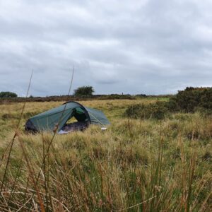 A small green camping tent pitched among tall windswept grasses and low scrub on an overcast grassy moor beneath a cloudy grey sky.
