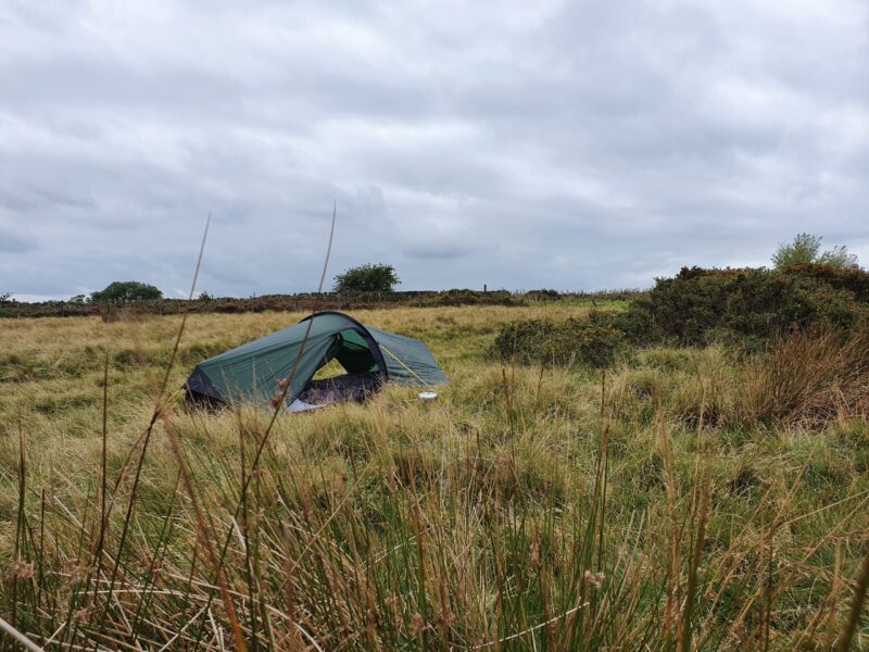 A small green camping tent pitched among tall windswept grasses and low scrub on an overcast grassy moor beneath a cloudy grey sky.