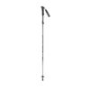 Telescopic black and silver hiking pole with an ergonomic foam handle, wrist strap with printed text, adjustable locking collar, small removable basket and rubber tip, shown upright on a white background.