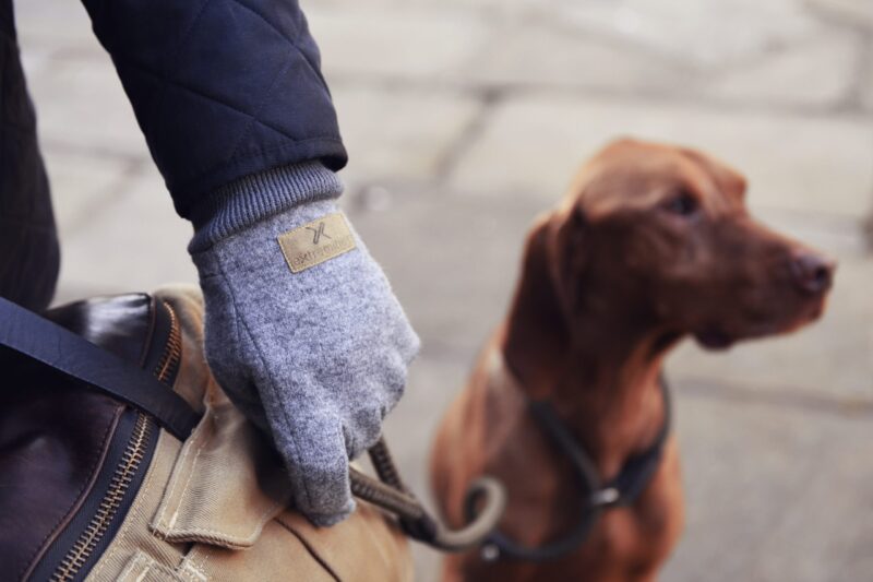 A gloved hand wearing a grey wool glove grips a canvas bag strap and dog lead, with a brown dog out of focus on a paved street in the background.