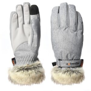 Pair of grey insulated winter gloves on a white background, with textured fabric backs, smooth palms and a black touchscreen fingertip, adjustable wrist strap stamped extremities, and plush faux-fur cuffs.