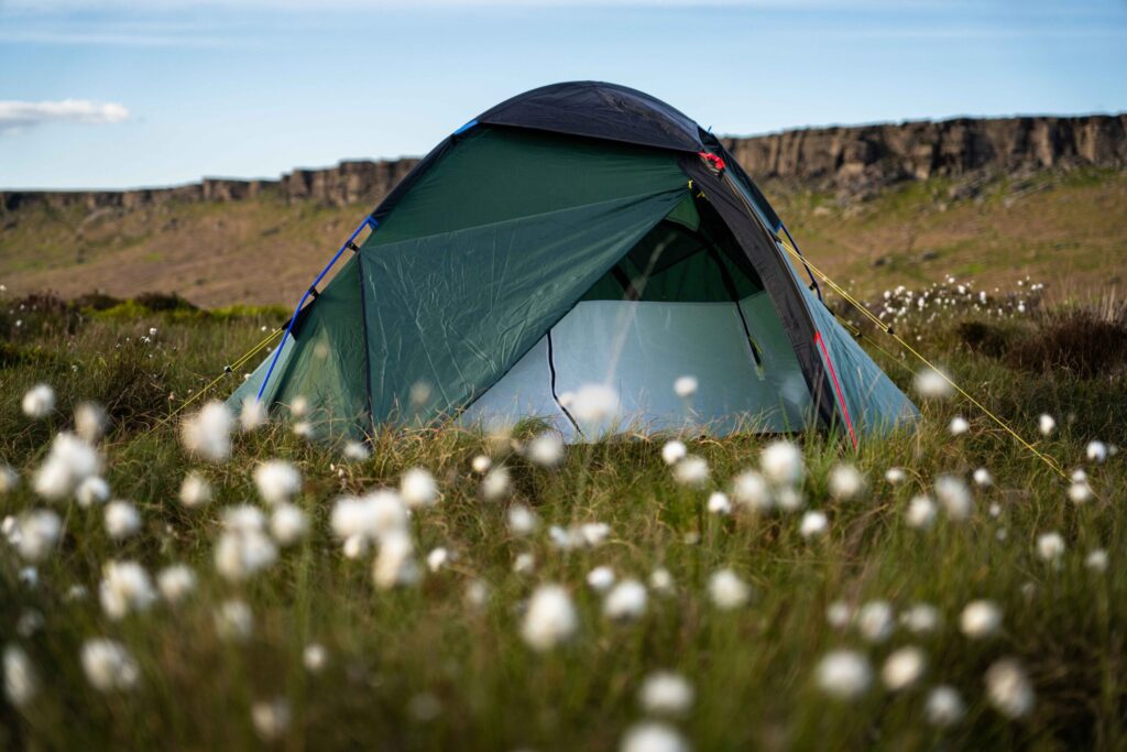 Pioneer-2-5-scaled-4.jpg Green dome tent with a partially open door pitched in a grassy meadow scattered with white cotton-like flowers, yellow guy lines visible and a low rocky cliff ridge in the background.