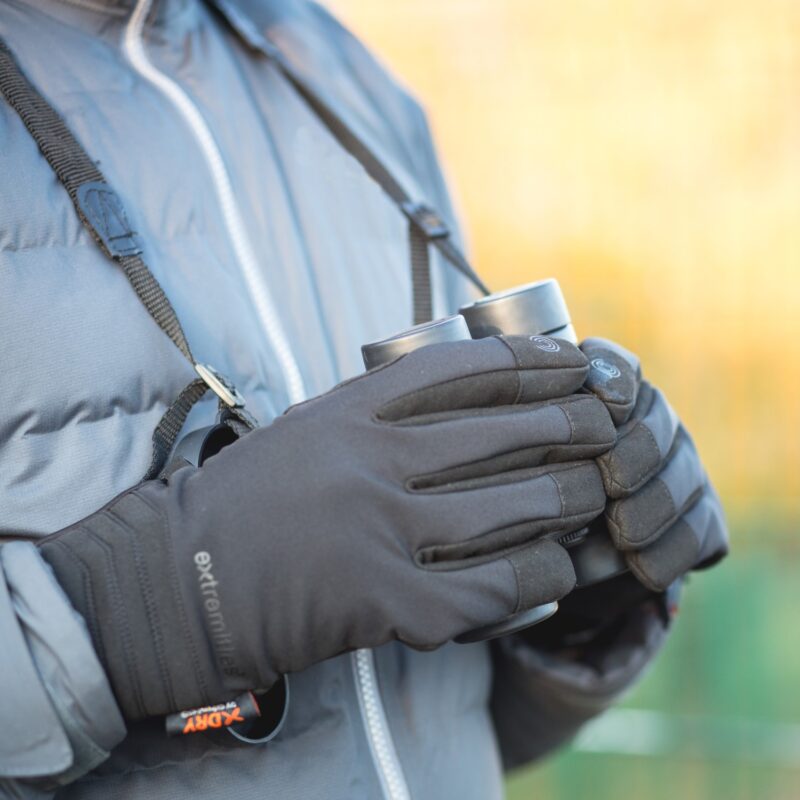 Close-up of a person in a grey puffer jacket with black insulated gloves holding compact binoculars on a neck strap against a softly blurred golden outdoor background.