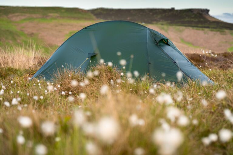 Green dome tent pitched in a windswept grassy meadow dotted with white cotton-like flowers, blurred foreground and low grassy cliffs in the background.