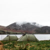 Two green tents pitched on a grassy lakeshore with a calm lake and mist-shrouded hills under an overcast sky.