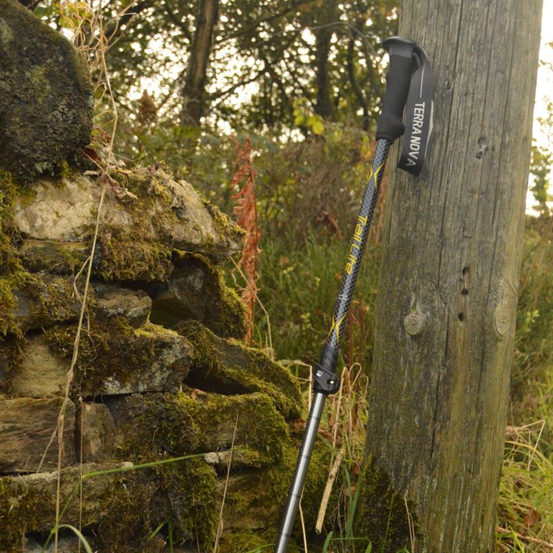 Trekking pole with a black grip and 'TERRANOVA' wrist strap leaning against a weathered wooden post beside a moss-covered stone wall in a grassy, wooded setting.